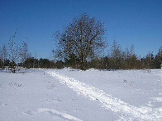 23637 (a): :1024x768